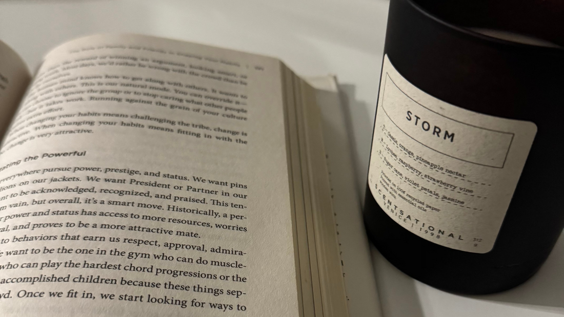 10 Tips to Build a Reading Habit in Adulthood